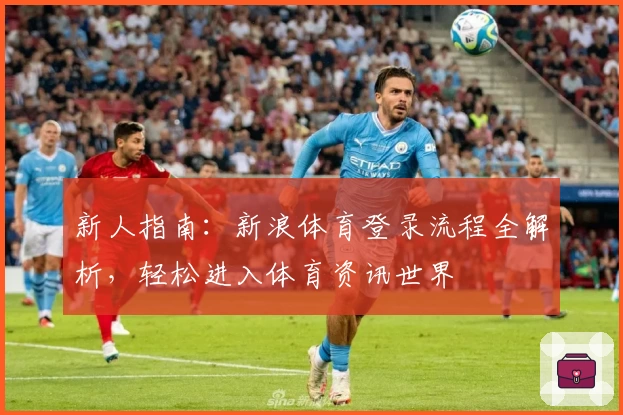 新人指南：新浪体育登录流程全解析，轻松进入体育资讯世界