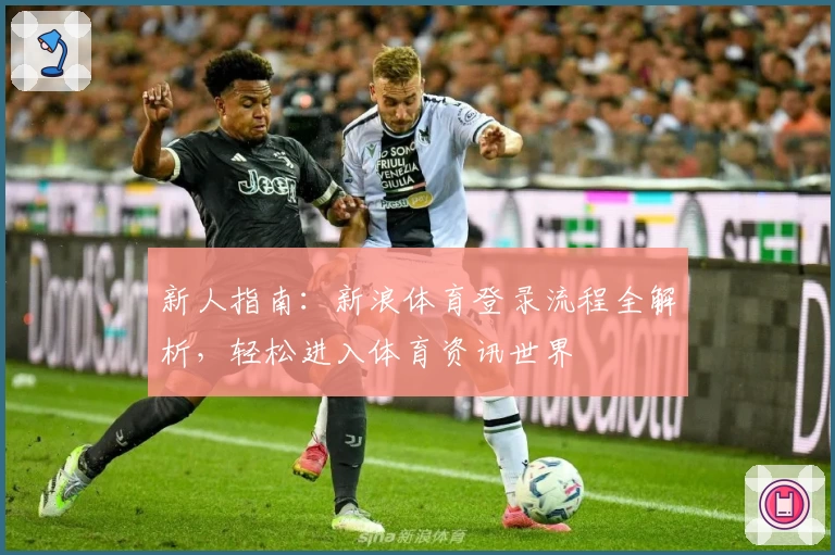 新人指南：新浪体育登录流程全解析，轻松进入体育资讯世界