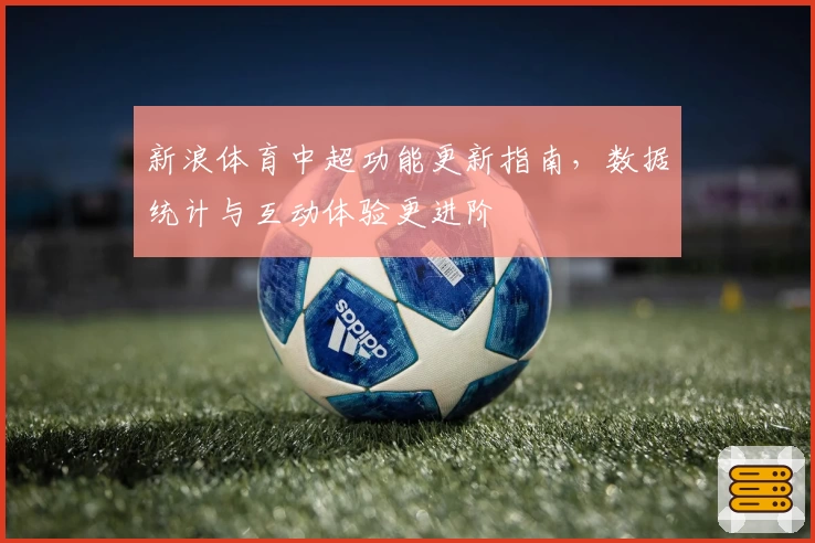 新浪体育中超功能更新指南，数据统计与互动体验更进阶