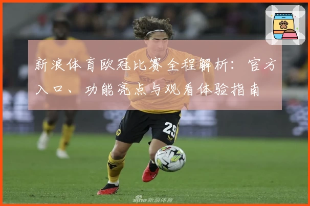 新浪体育欧冠比赛全程解析：官方入口、功能亮点与观看体验指南