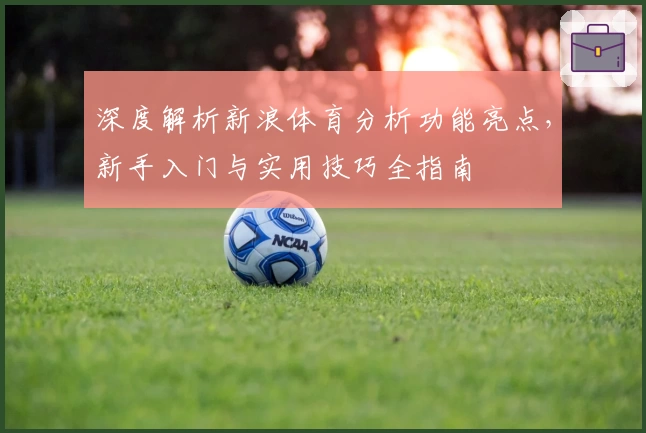 深度解析新浪体育分析功能亮点，新手入门与实用技巧全指南