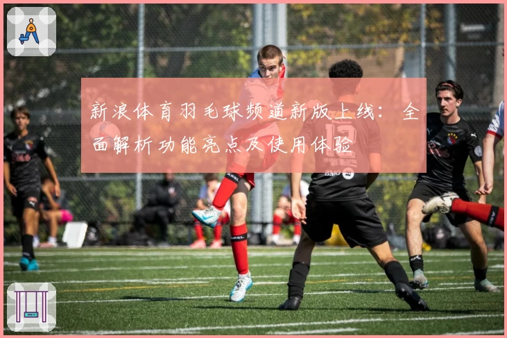 新浪体育羽毛球频道新版上线：全面解析功能亮点及使用体验