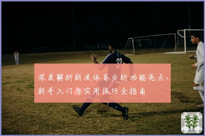深度解析新浪体育分析功能亮点，新手入门与实用技巧全指南