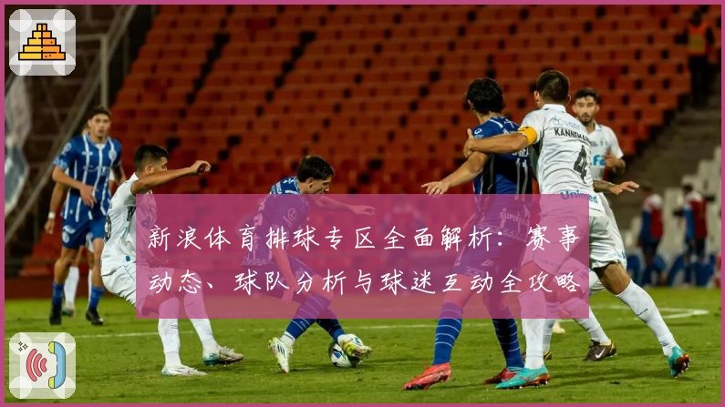 新浪体育排球专区全面解析：赛事动态、球队分析与球迷互动全攻略