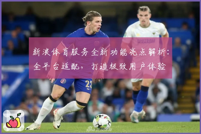 新浪体育服务全新功能亮点解析：全平台适配，打造极致用户体验