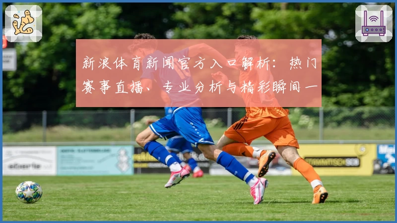 新浪体育新闻官方入口解析：热门赛事直播、专业分析与精彩瞬间一站直达
