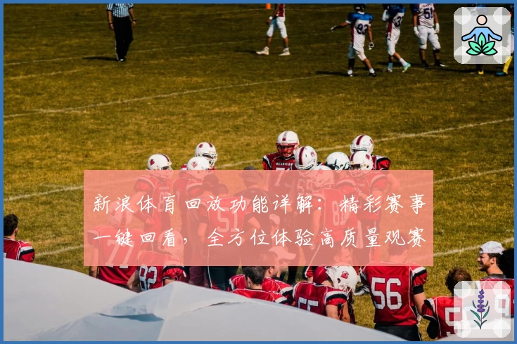 新浪体育回放功能详解：精彩赛事一键回看，全方位体验高质量观赛服务