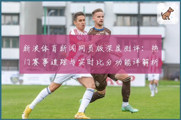 新浪体育新闻网页版深度测评：热门赛事追踪与实时比分功能详解析